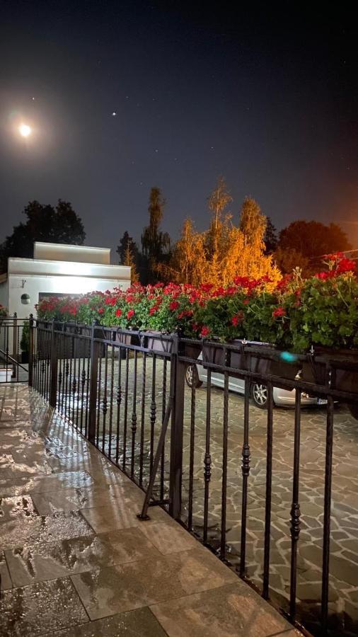 White House Hotel Fagaras Exterior photo